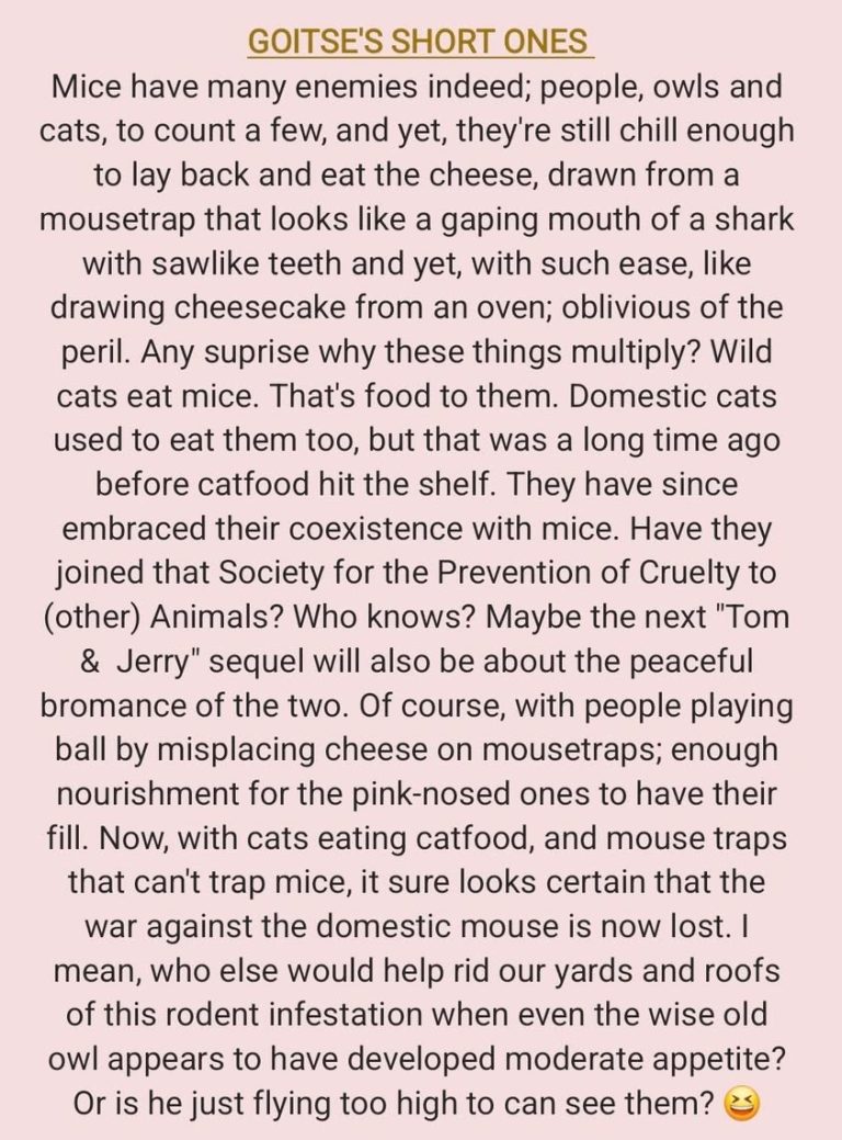 "Maybe the mice have a lesson to teach us all. Accepting with joy, every kindness, however small" 😊